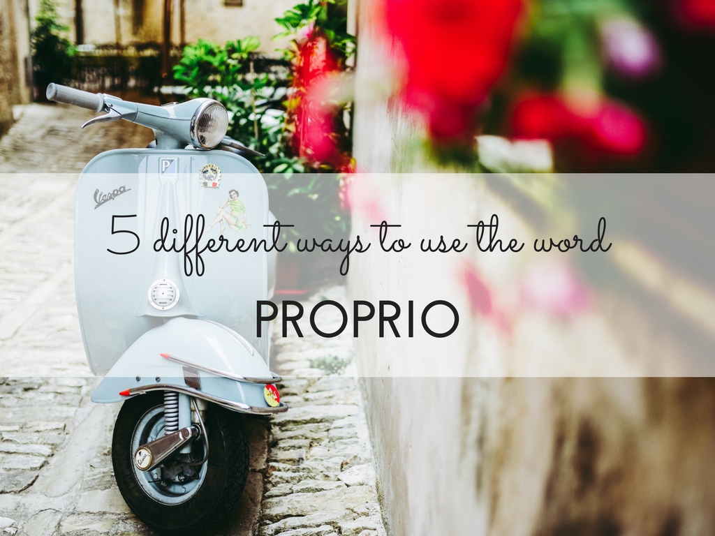 5 ways to use the Italian word PROPRIO