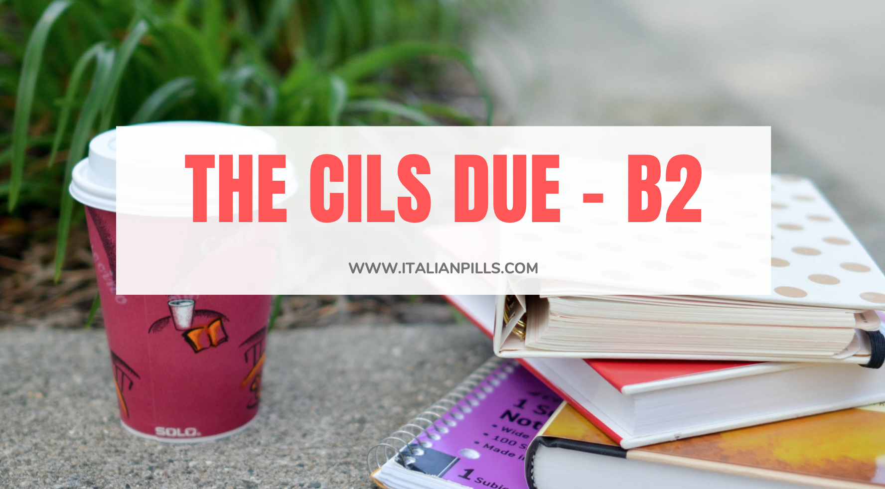 CILS Due B2 Exam: The Structure