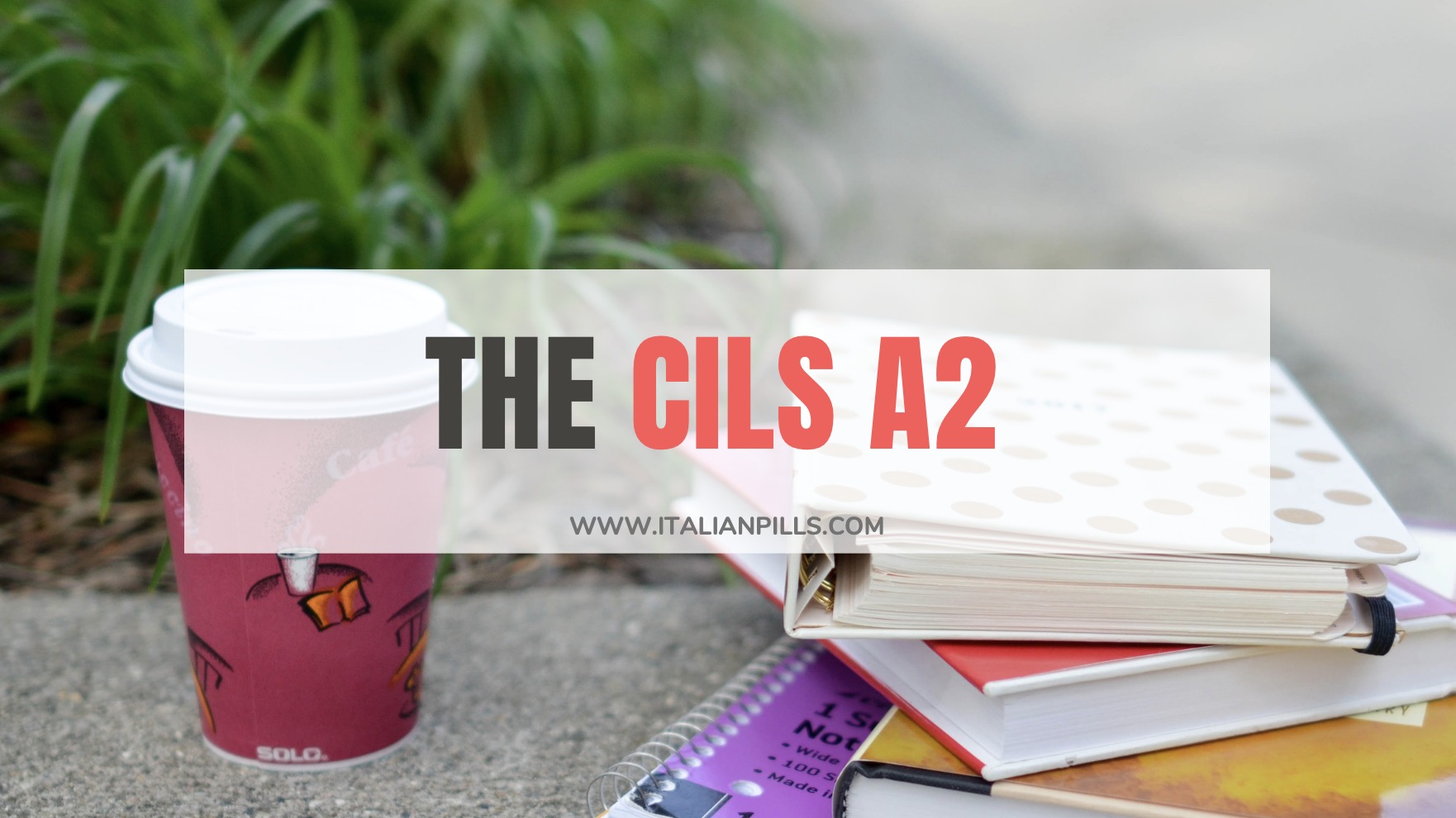 The CILS A2 Exam (elementary level)