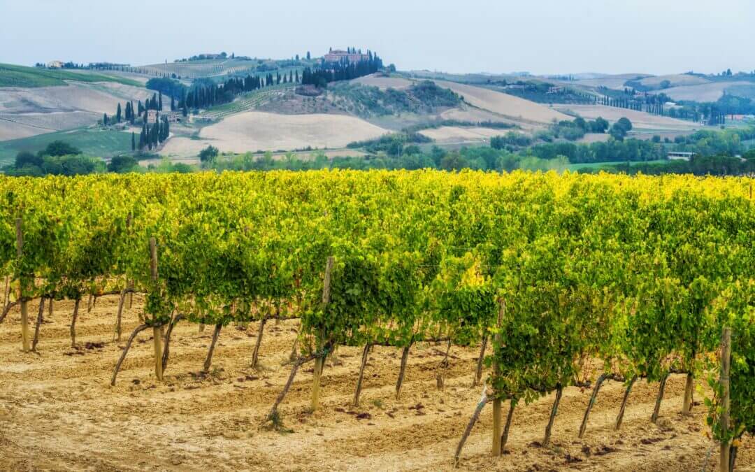 The Meaning of “Sia” in Italian