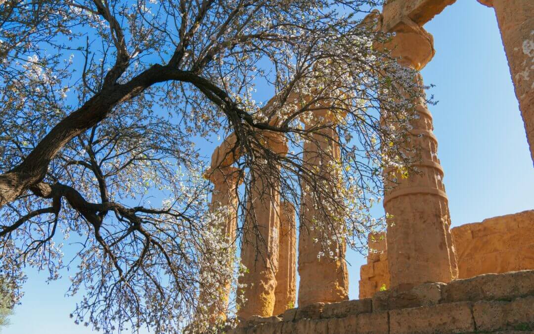 How to Use “Addirittura” in Italian